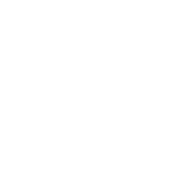 DFELAB Logo